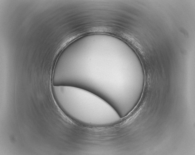 X0000116781033200912171306