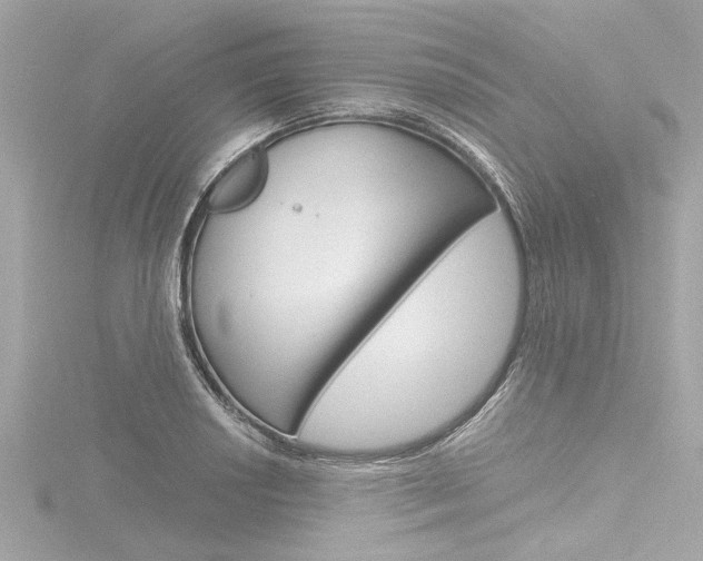 X0000116781034200912171306