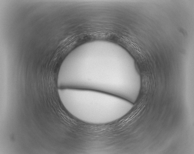X0000116781058200912171305