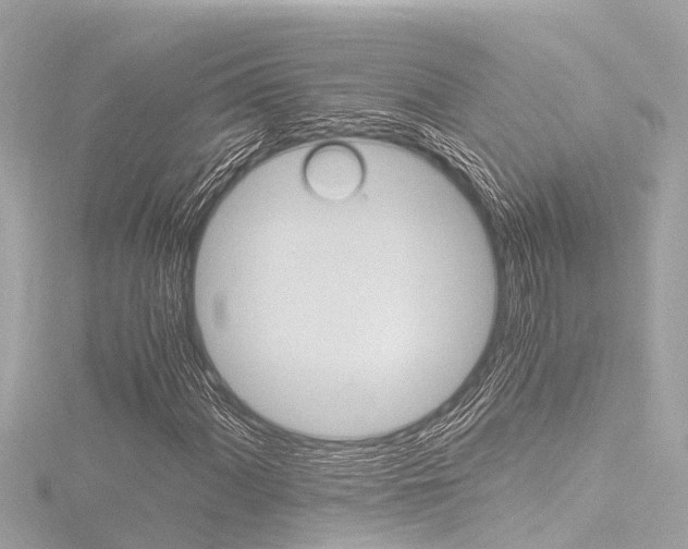 X0000116781060200912171305