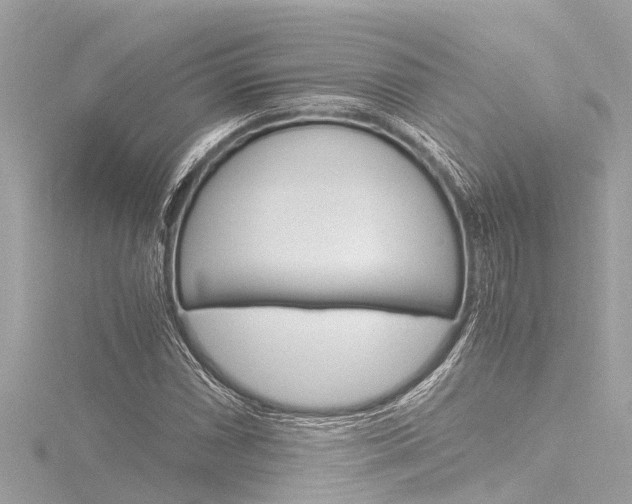 X0000116781066200912171305
