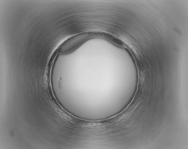 X0000116781068200912171305