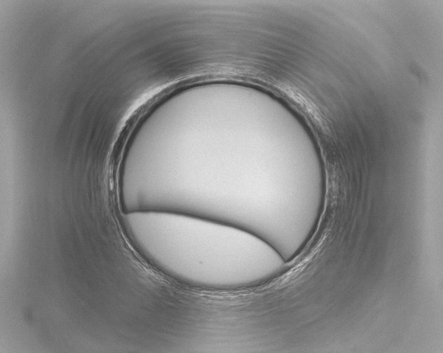 X0000116781070200912171305