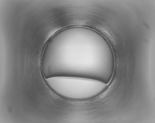 X0000116781081200912171305