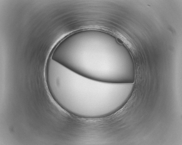 X0000116781084200912171305