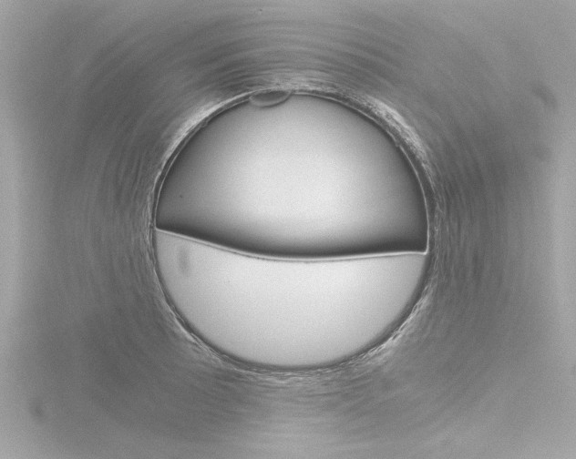 X0000116781089200912171305