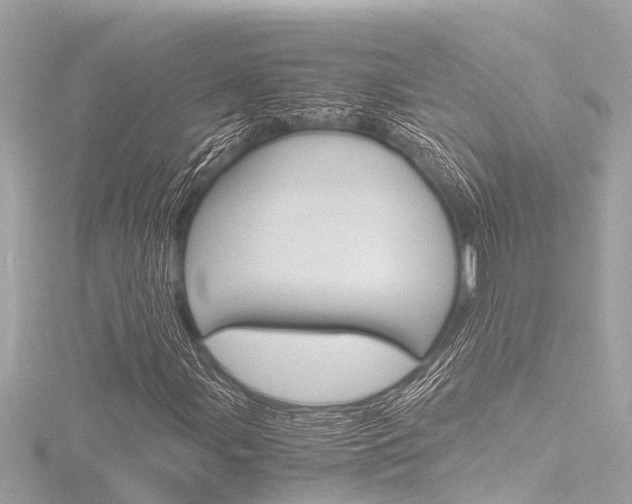 X0000116781107200912171304