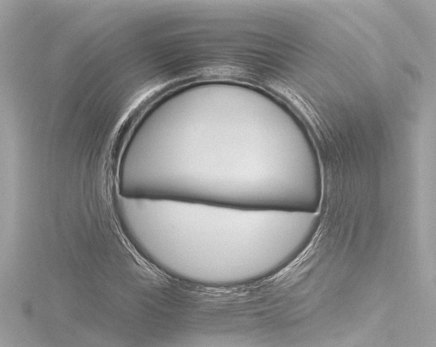 X0000116781115200912171304