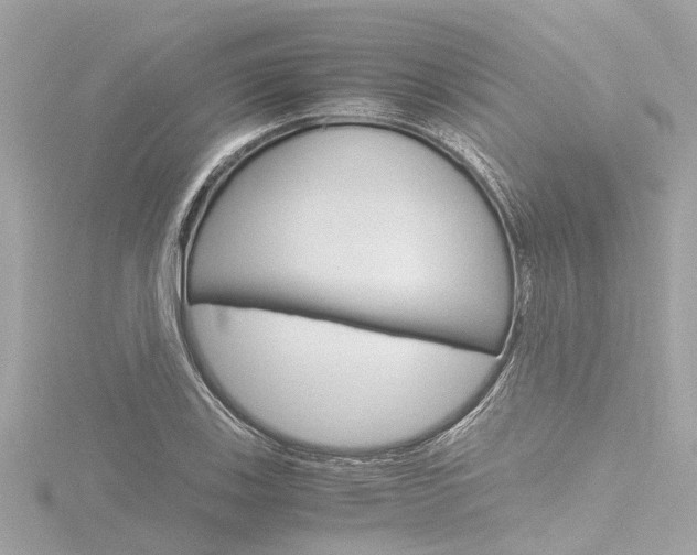 X0000116781123200912171304