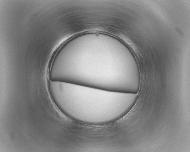 X0000116781127200912171305