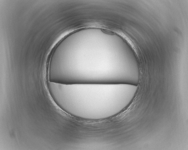 X0000116781147200912171305