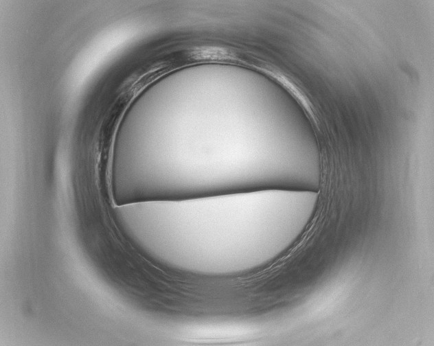 X0000116781151200912171305