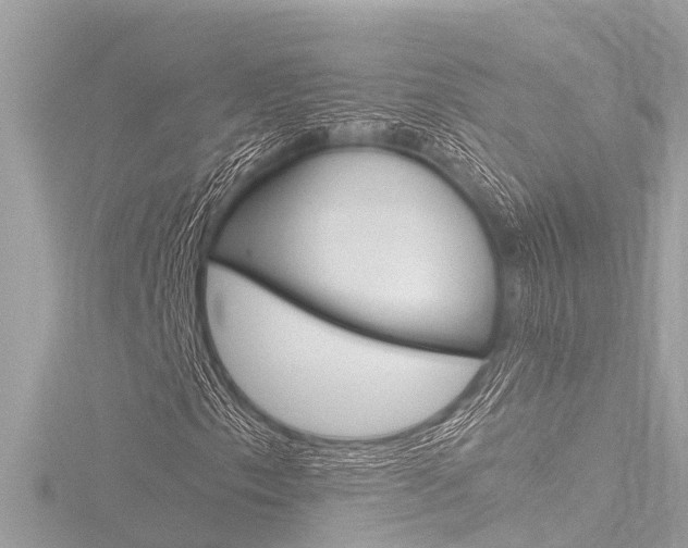 X0000116781153200912171304