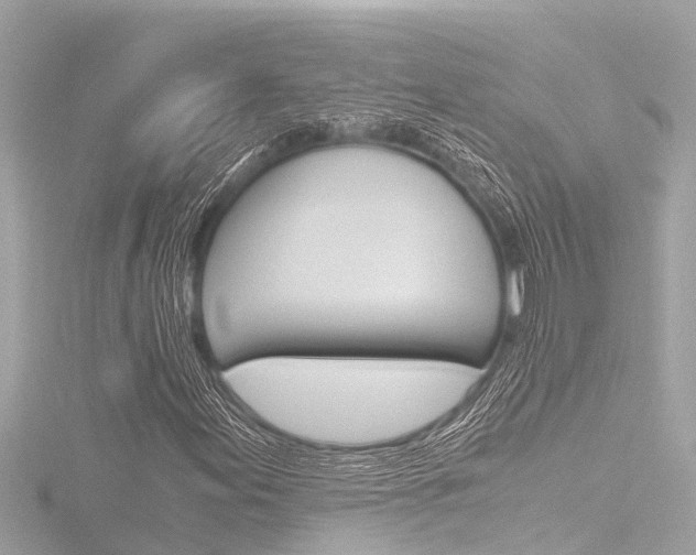 X0000116781155200912171304