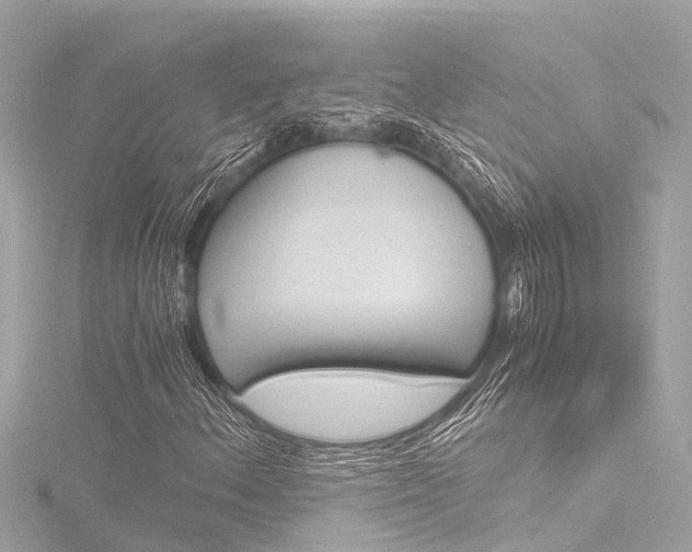X0000116781156200912171304