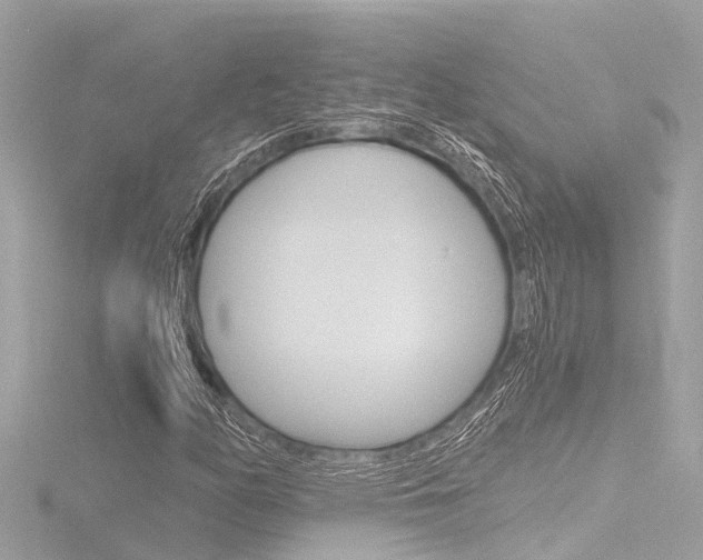 X0000116781158200912171304
