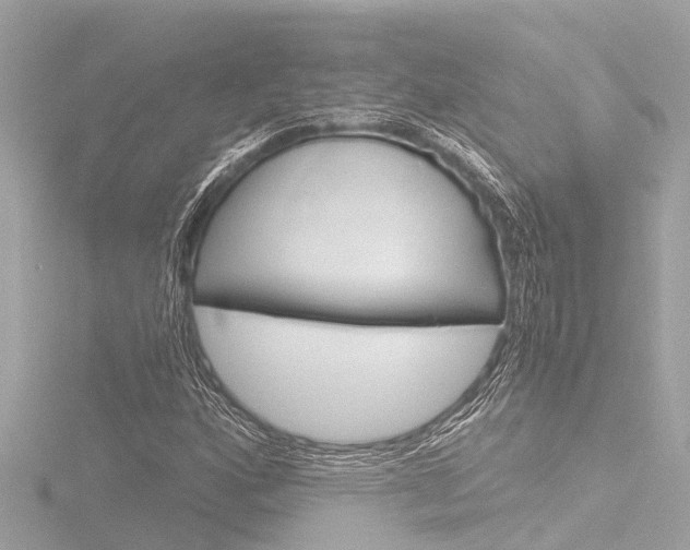 X0000116781160200912171304