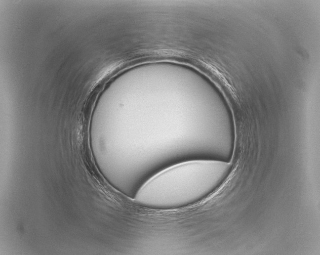 X0000116781163200912171304