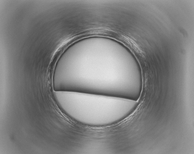 X0000116781164200912171304
