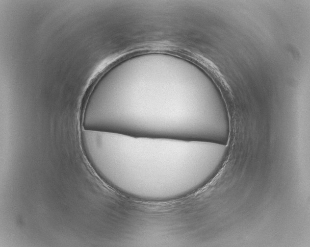X0000116781176200912171304