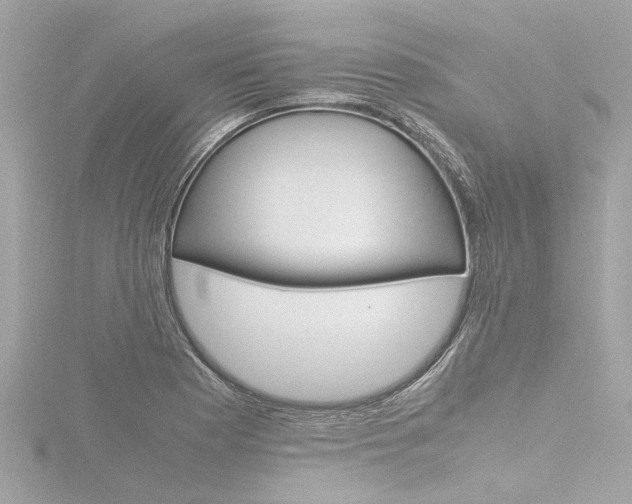 X0000116781177200912171304