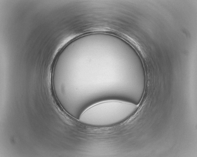 X0000116781179200912171304