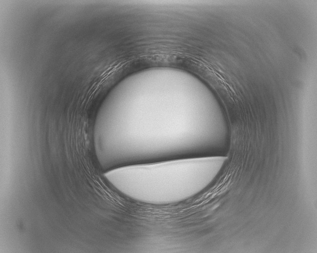 X0000116781202200912171303
