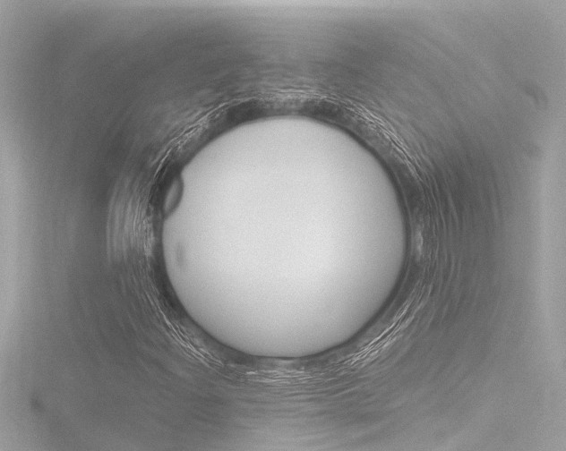 X0000116781204200912171303