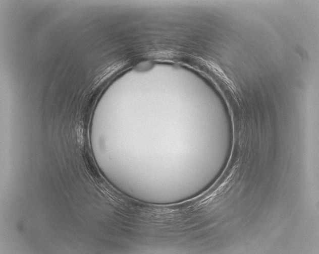 X0000116781209200912171303