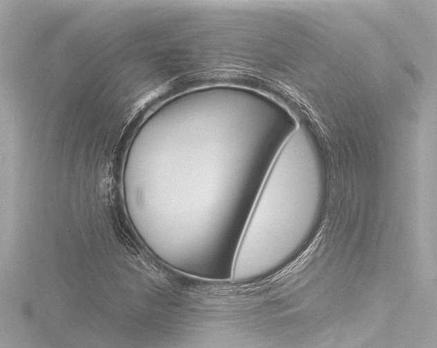 X0000116781210200912171303