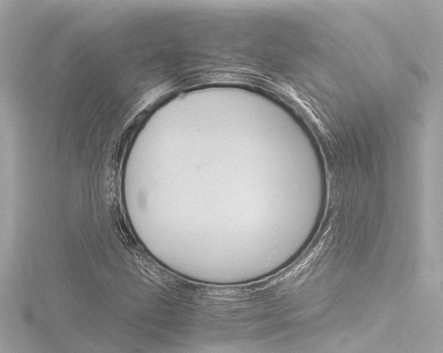 X0000116781211200912171303