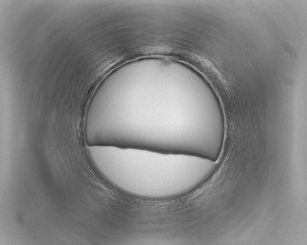 X0000116781217200912171303