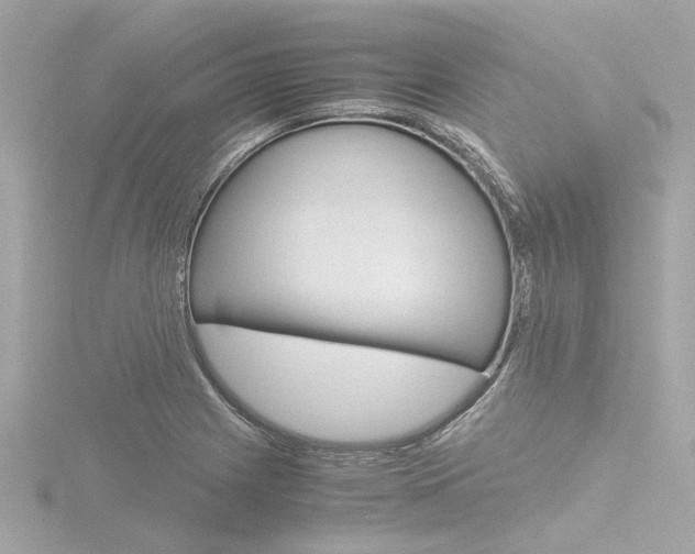 X0000116781225200912171303
