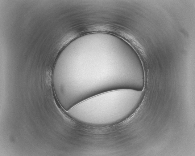 X0000116781233200912171303