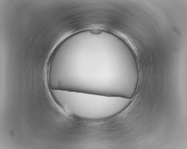 X0000116781235200912171303