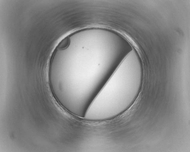 X0000116781246200912171304