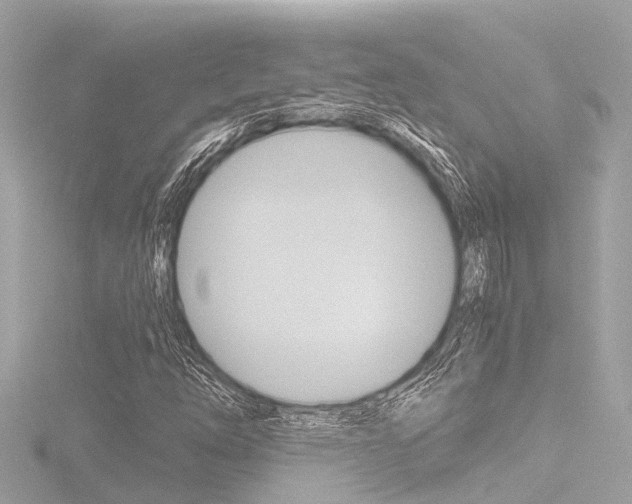 X0000116781254200912171303