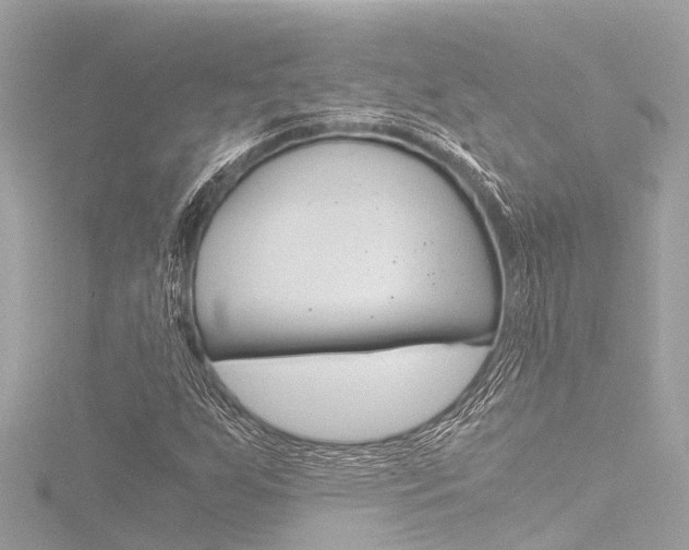X0000116781255200912171303