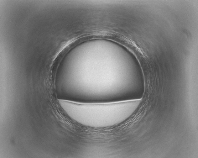 X0000116781256200912171303