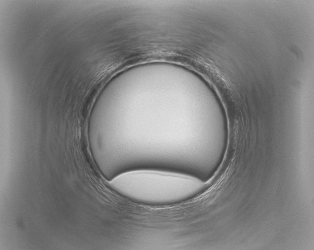 X0000116781257200912171303
