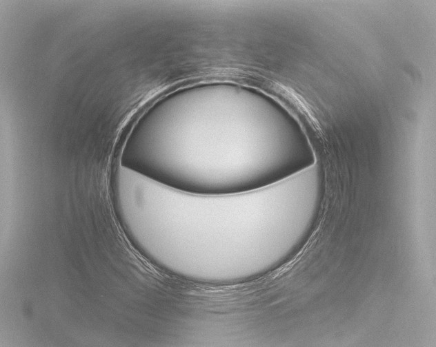 X0000116781260200912171303