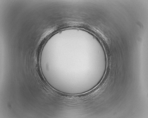 X0000116781261200912171303