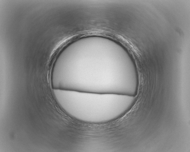 X0000116781262200912171303