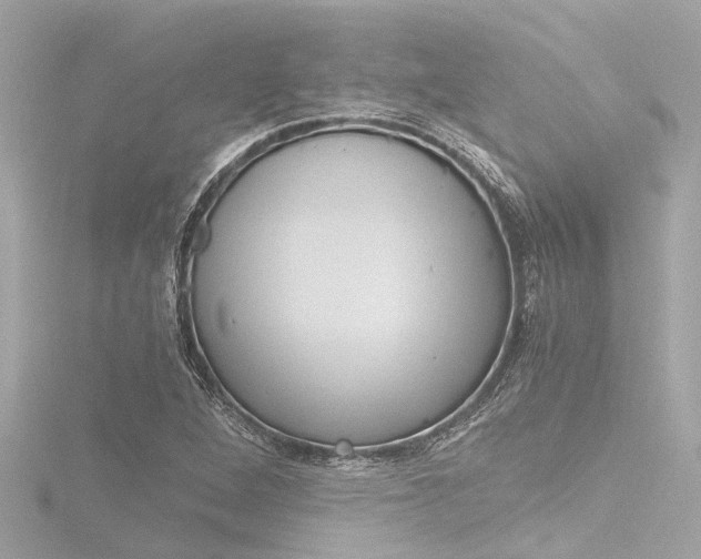X0000116781264200912171303