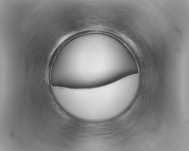 X0000116781272200912171303