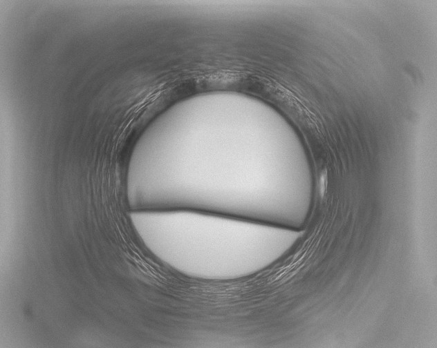 X0000116781299200912171302