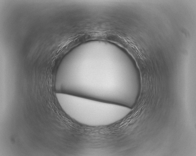 X0000116781301200912171302