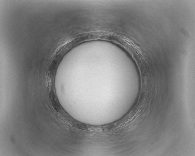 X0000116781302200912171302