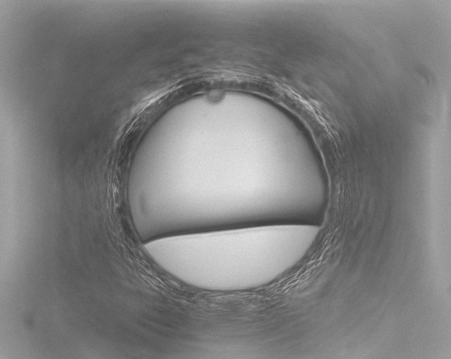 X0000116781303200912171302