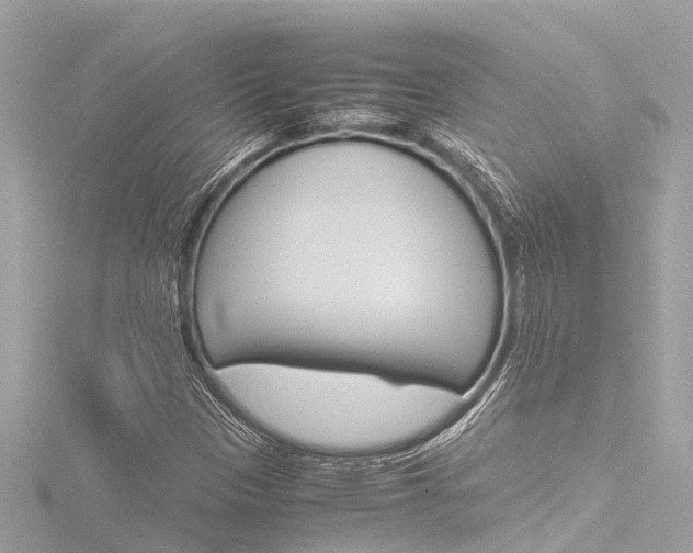 X0000116781305200912171302